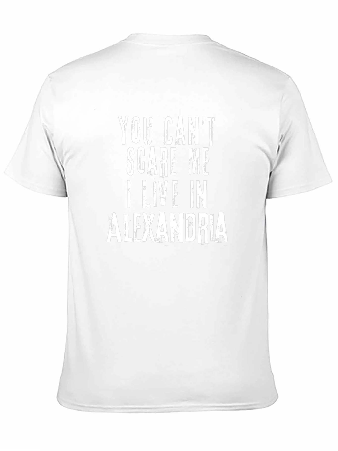 You Cant Scare Me I Live In Alexandria T-Shirt